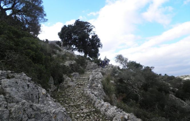 GSM - Gays Senderistas de Mallorca