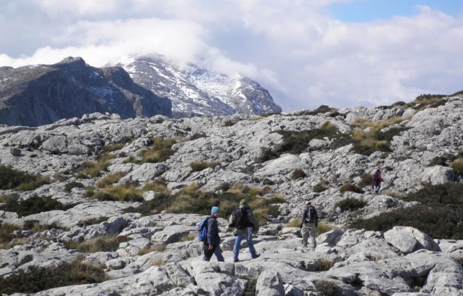 GSM - Gays Senderistas de Mallorca