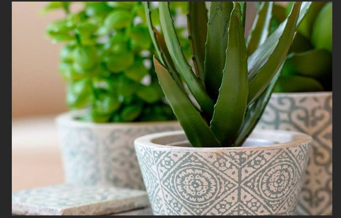 VICTOR o VICTORIA Style